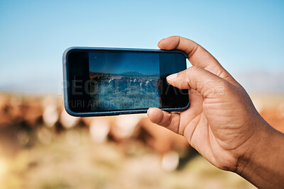 Buy stock photo Person, hands and phone in photography, farming or animals for sustainability or natural agriculture. Closeup of farmer taking photo or picture of live stock or herd with mobile smartphone screen