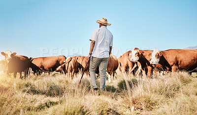 Buy stock photo Farm, black man and cow, agriculture and livestock, sustainability and agro business in countryside with back. Farmer with mission, field and industry, environment with cattle herd and animal outdoor