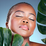 Beauty face, leaf and black woman relax with natural wellness, skincare glow or sustainable dermatology. Studio, plant and African person with monstera, eco product and eyes closed on blue background