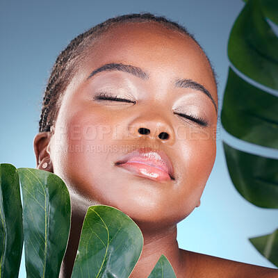 Buy stock photo Natural, beauty and face of black woman with leaf, relax skincare glow or sustainable dermatology. Studio, plant and African person with monstera, eco product and eyes closed on blue background
