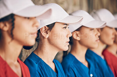 Buy stock photo Women, softball and sports, team and face, watch game with fitness and mission with confidence at stadium. Athlete group, exercise and trust with support, collaboration and baseball player in club