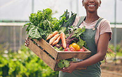 Buy stock photo Woman, agriculture and vegetables in greenhouse for farming, supply chain or agro business with product box. Happy farmer or supplier with harvest and gardening for NGO, nonprofit and food or grocery