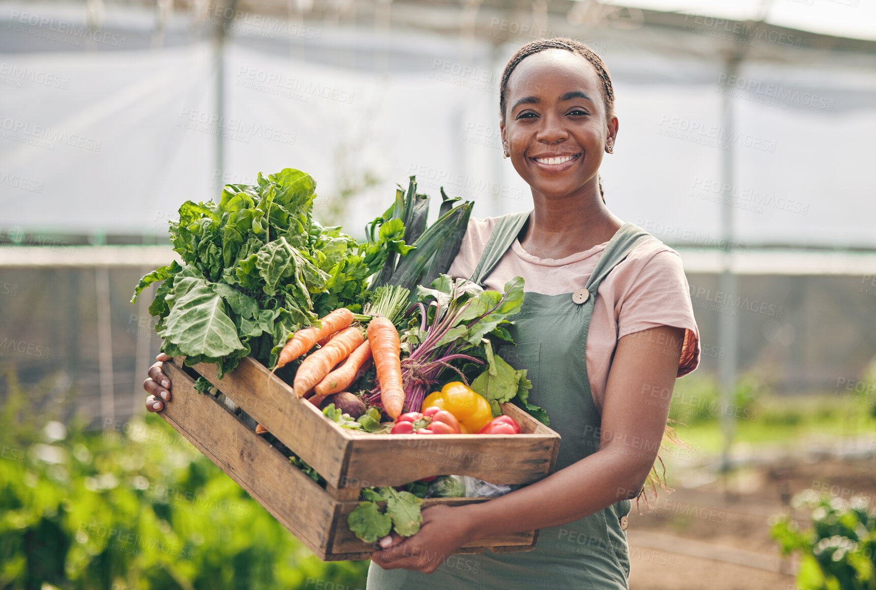 Buy stock photo Woman, farmer and vegetables in greenhouse for agriculture, agro business and growth or product in box. Portrait of African worker with harvest, gardening and food, carrot or lettuce in basket