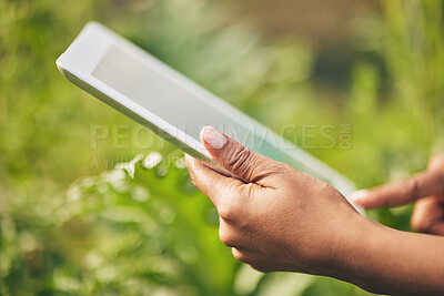 Buy stock photo Hands on tablet, research and woman on farm checking internet website for information on plants. Nature, technology and farmer with digital app for sustainability, agriculture and analysis in garden.