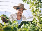 Farmer, woman and tablet in greenhouse for agriculture, farming and sustainability with or e commerce management. Happy worker on digital technology for gardening, food production and inspection