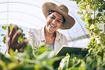 Woman, tablet and greenhouse for plants inspection, agriculture and farming in sustainability and e commerce. Happy farmer on digital technology for gardening, vegetables growth and quality assurance