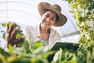 Buy stock photo Woman, tablet and greenhouse for plants inspection, agriculture and farming in sustainability and e commerce. Happy farmer on digital technology for gardening, vegetables growth and quality assurance
