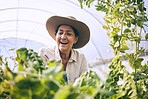 Mature woman, agriculture and greenhouse with plants, wow and smile, harvest and vegetable farming. Farmer, happy with crops and sustainability, agro business and ecology with growth and gardening