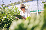 Senior woman, agriculture and greenhouse with clipboard,  inspection of harvest and vegetable farming. Farmer, check crops and sustainability, agro business and checklist with growth and gardening