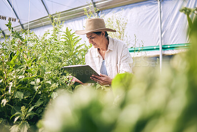 Buy stock photo Senior woman, agriculture and greenhouse with clipboard,  inspection of harvest and vegetable farming. Farmer, check crops and sustainability, agro business and checklist with growth and gardening
