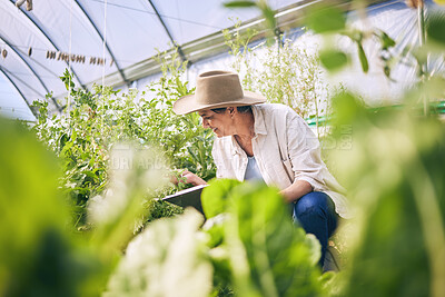 Buy stock photo Plants, greenhouse and woman on farm with sustainable business checklist, nature and happiness in garden. Agriculture, gardening and female farmer with smile, green leaves and agro vegetable farming.