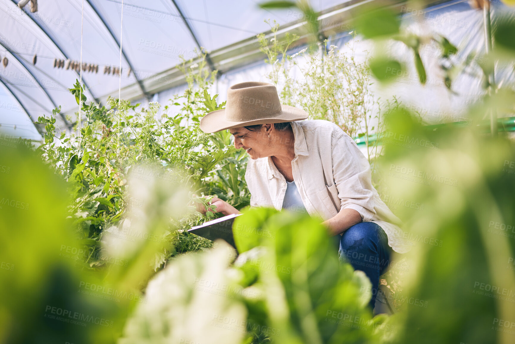 Buy stock photo Plants, greenhouse and woman on farm with sustainable business checklist, nature and happiness in garden. Agriculture, gardening and female farmer with smile, green leaves and agro vegetable farming.