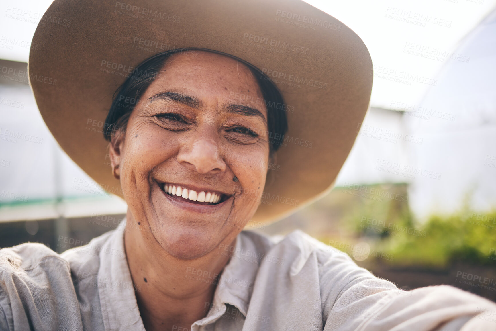 Buy stock photo Farming, smile and selfie of woman in greenhouse, sustainable small business and agriculture. Portrait of happy, mature farmer at vegetable farm in summer with growth and development with agro plants