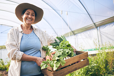 Buy stock photo Smile, greenhouse and portrait woman on vegetable farm for sustainable business, nature and box. Agriculture, gardening and happy face of female farmer, green plants and agro farming for healthy food