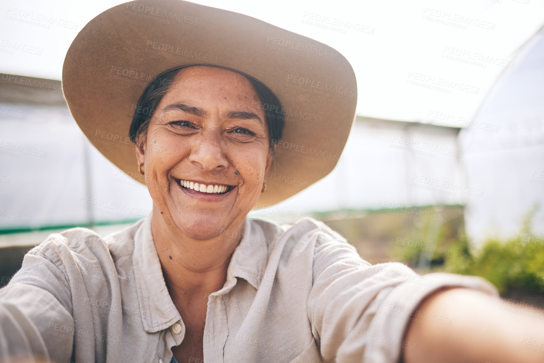Buy stock photo Farming, plants and selfie of happy woman in greenhouse, pride in sustainable small business and agriculture. Portrait of mature farmer at vegetable farm, growth in summer and agro entrepreneurship.
