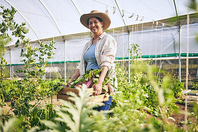 Buy stock photo Smile, greenhouse and mature woman on farm with sustainable business, nature and sunshine. Agriculture, gardening and happy face of female farmer, green plants and agro food farming of vegetables.