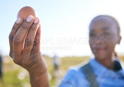 Buy stock photo Hand, black woman and egg at farm for inspection, supply chain or quality control in countryside. Poultry farming, free range and farmer with chicken eggs check for organic, trading or agriculture