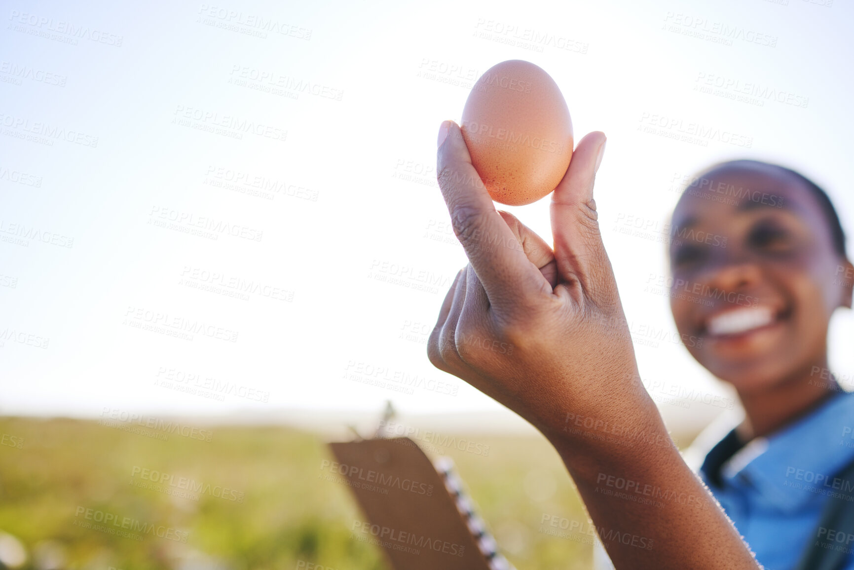 Buy stock photo Happy woman on farm with egg in hand, inspection on field, quality assurance and sustainable small business farming in Africa. Poultry farmer with checklist and person in countryside with grass.