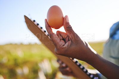 Buy stock photo Hand of farmer in field with chickens, clipboard and egg, quality assurance and sustainable small business farming in Africa. Poultry farm inspection, checklist and person in countryside with grass.