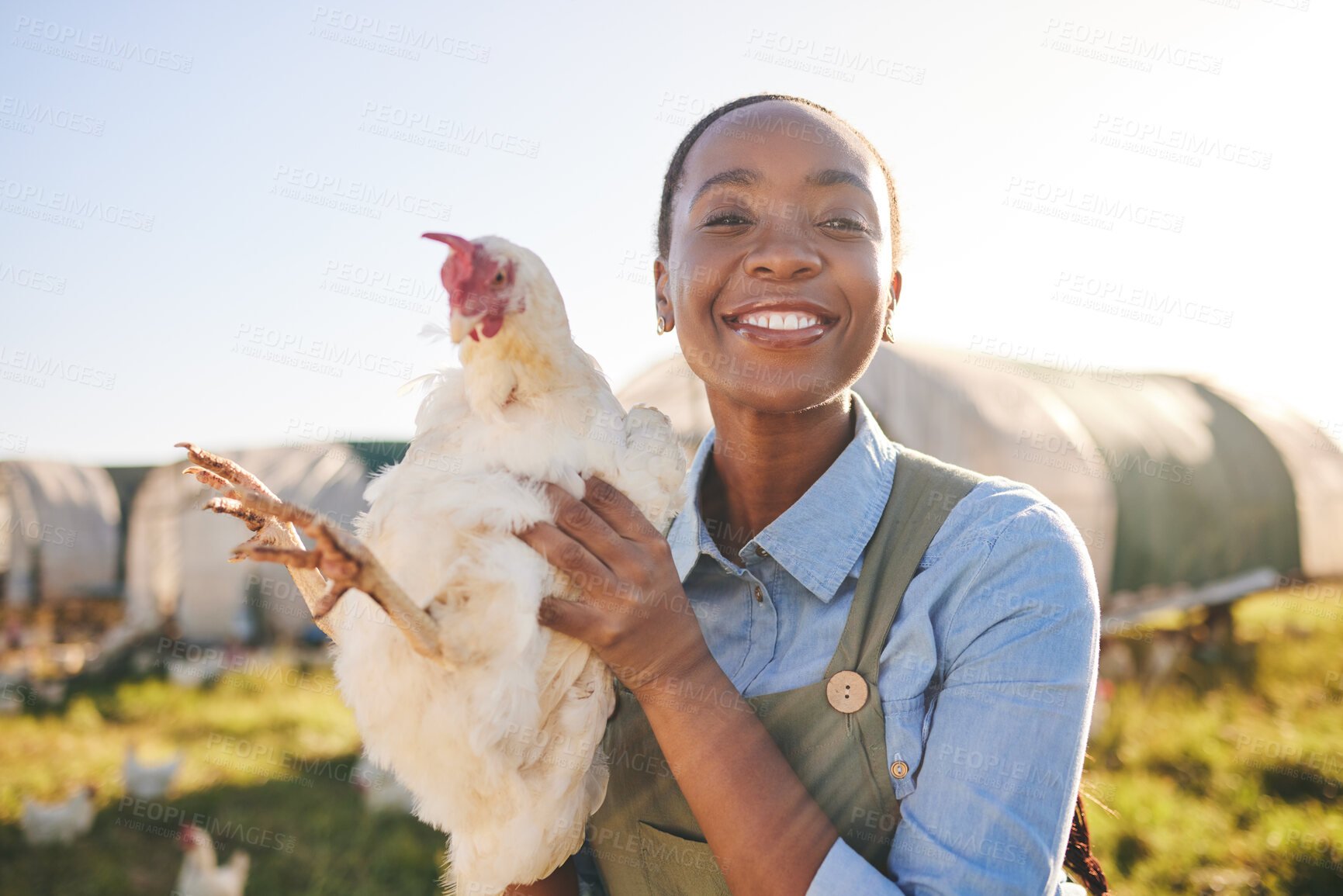 Buy stock photo African farmer woman, chicken and portrait outdoor in field, healthy animal or sustainable care for livestock at agro job. Poultry entrepreneur, smile and bird in nature, countryside or agriculture