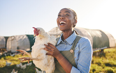 Buy stock photo Farm, chicken and happy black woman in field, countryside and nature for agriculture, growth and ecology. Agro business, sustainable farming and farmer with bird for free range poultry production
