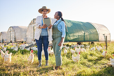 Buy stock photo Farm, chicken and women on tablet in field, countryside and nature for small business, growth and ecology. Agriculture, sustainable farming and farmer on digital tech for poultry production inventory