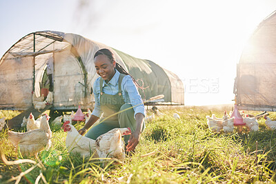 Buy stock photo Farm management, black woman and chicken on agriculture on a eco friendly and sustainable with livestock. Countryside, field and agro farmer with smile from farming, animal care and working in nature