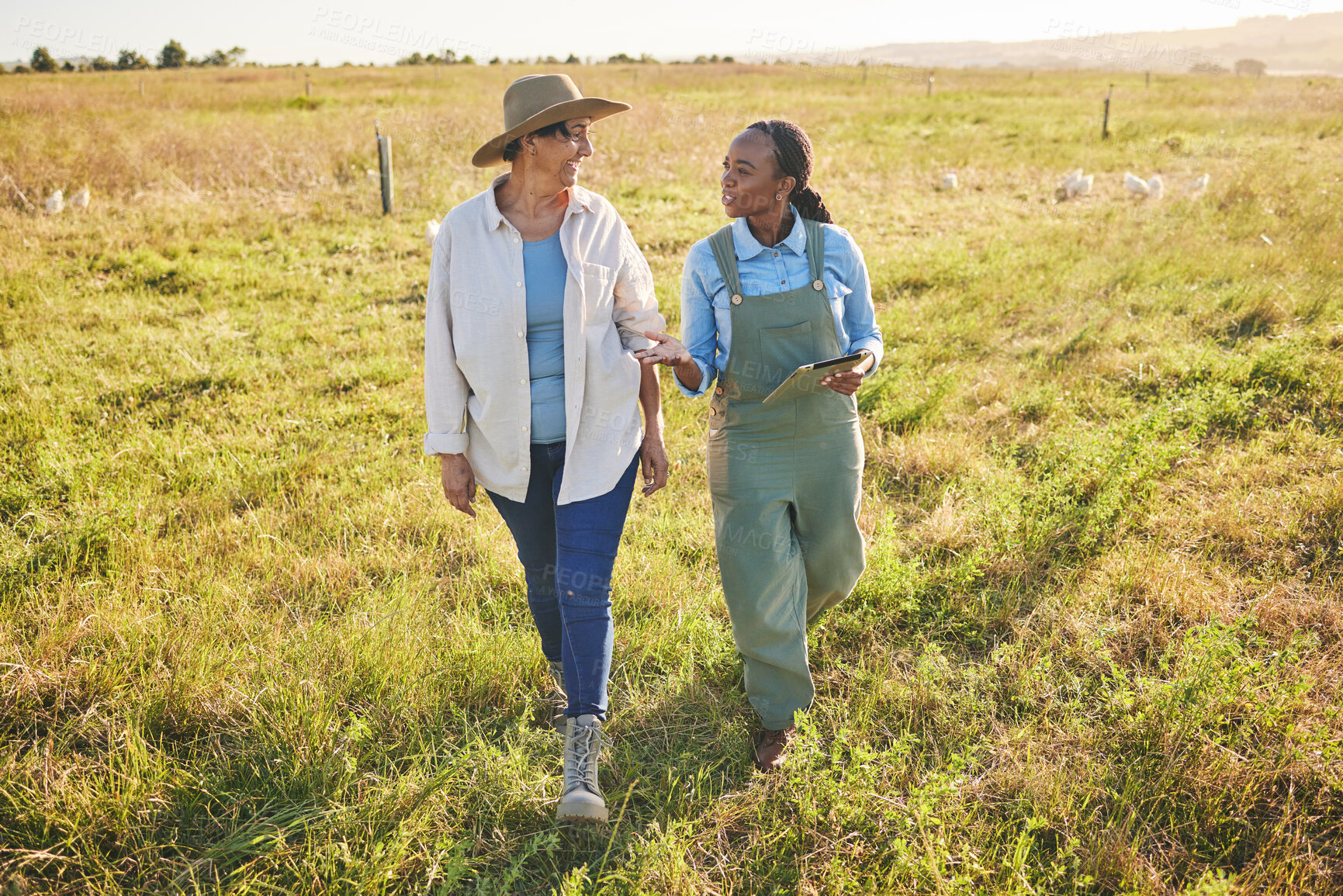 Buy stock photo Agriculture, walking and women on tablet on farm for internet, research and growth in countryside. Discussion, sustainable farming and people on digital tech for inventory, planning and inspection