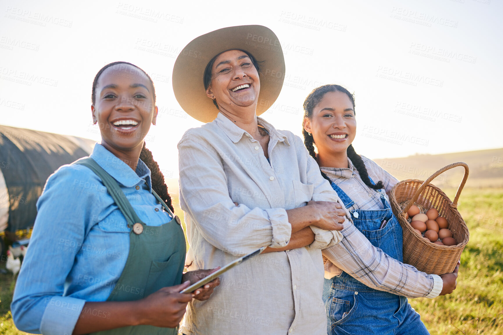 Buy stock photo Chicken farm, women portrait and happy with farmer web management and egg collect. Agriculture, diversity and female group with small business in countryside with eco friendly work and success