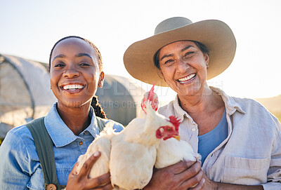 Buy stock photo Farm, chicken and portrait of women in field for animal inspection, growth and health of birds. Agriculture, small business and farmers smile for free range poultry, protein and eggs production