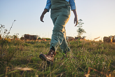 Buy stock photo Feet, grass and farmer walking on a field of a livestock farm for sustainable agriculture in the outdoor morning sunrise. Eco, legs and person ready for agro or organic harvest in nature countryside