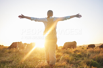 Buy stock photo Sunrise, cow and woman on farm with open arms for freedom, adventure and excited for agriculture. Sustainable farming, morning and back of farmer with cattle, livestock and animals in countryside