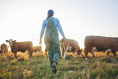Buy stock photo Woman, cow farm and walking in countryside on a grass field at sunset with farmer and cattle. Female person, back and agriculture outdoor with animals and livestock for farming in nature with freedom