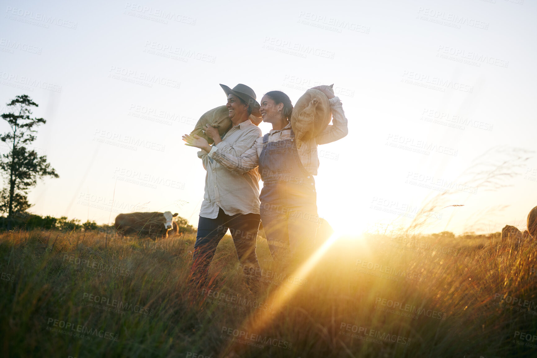 Buy stock photo Farm harvest, women walking and countryside with a smile from working on a grass field with grain bag. Sustainability, eco friendly and agriculture outdoor at sunset in nature with farmer management