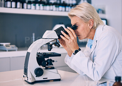 Buy stock photo Microscope, research and woman scientist in a lab looking for sample analysis or experiment in laboratory for a medical project. Science, equipment and professional test bacteria or DNA for chemistry