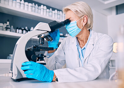 Buy stock photo Science woman, microscope and covid in lab for medical research, molecules or particles of bacteria at pharma job. Mature female scientist and vision with studying virus for pharmaceutical innovation