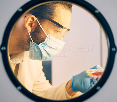 Buy stock photo Scientist, man with incubator and research with medical study, experiment and ivf with innovation. Scientific, researcher and employee with a mask, laboratory and test sample storage with chemistry