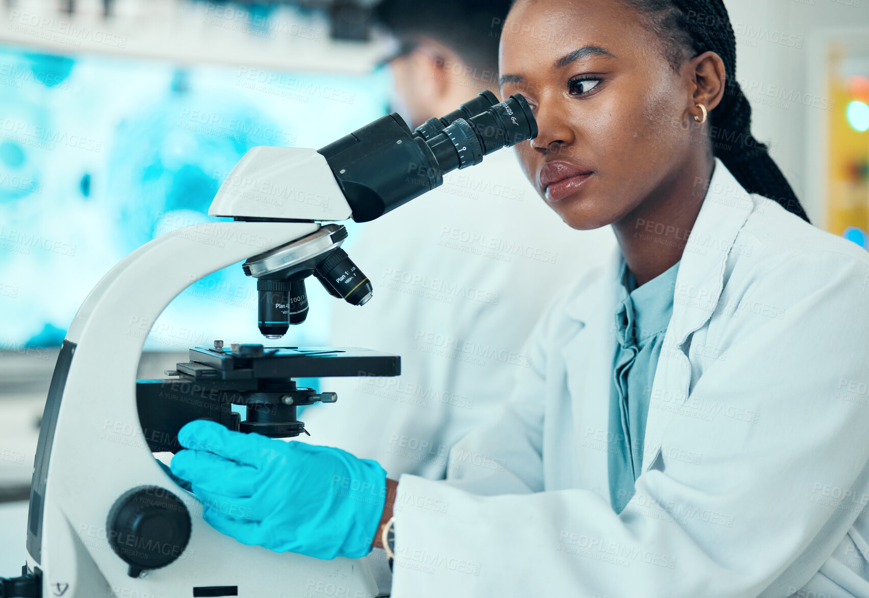 Buy stock photo Microscope, scientific and female scientist working in a medical study in pharmaceutical lab. Professional, science and African woman researcher doing chemistry research with biotechnology equipment.