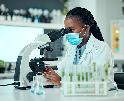 Buy stock photo Microscope, pharmaceutical and female scientist with face mask for virus analysis in a lab. Professional, science and African woman researcher working on medical research with biotechnology equipment