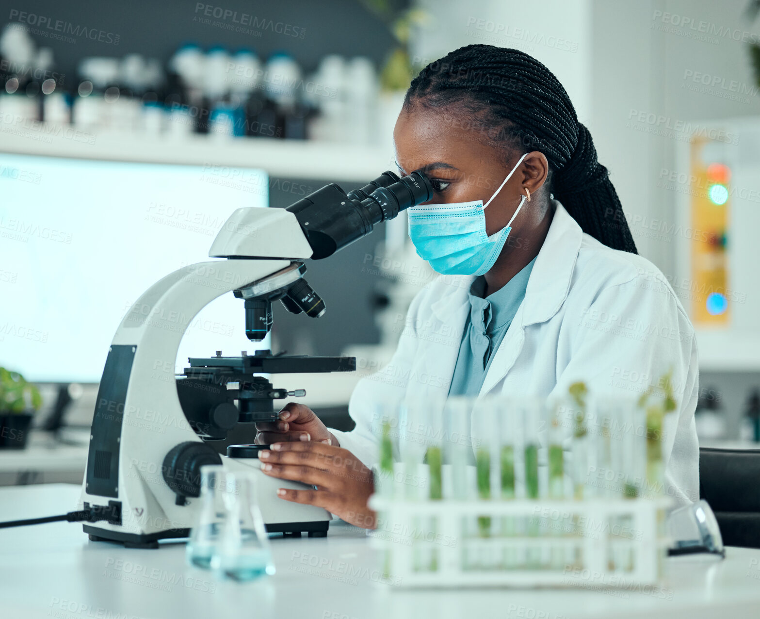 Buy stock photo Microscope, pharmaceutical and female scientist with face mask for virus analysis in a lab. Professional, science and African woman researcher working on medical research with biotechnology equipment