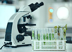 Plant, test tube and laboratory science study of biotechnology, pharmaceutical product or natural drugs innovation. Agro lab analysis, botany investigation and clinic research sample of organic herbs