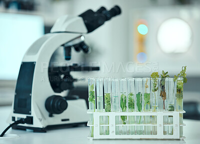 Buy stock photo Plant, test tube and laboratory science study of biotechnology, pharmaceutical product or natural drugs innovation. Agro lab analysis, botany investigation and clinic research sample of organic herbs
