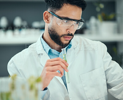 Buy stock photo Science, test tube plant and man research natural product, biotechnology or botany drugs innovation. Lab investigation, pharmacy trial process and male scientist inspection of organic biochemistry