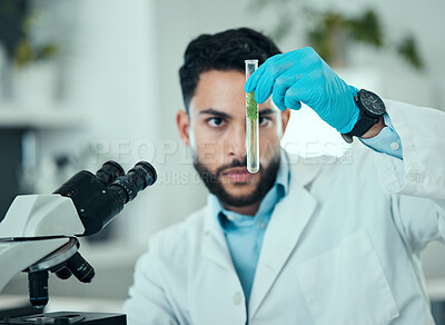 Buy stock photo Science, man and analysis of test tube plant, biotechnology product and check natural sample for botany development. Lab experiment, investigation or male scientist focus on organic growth inspection