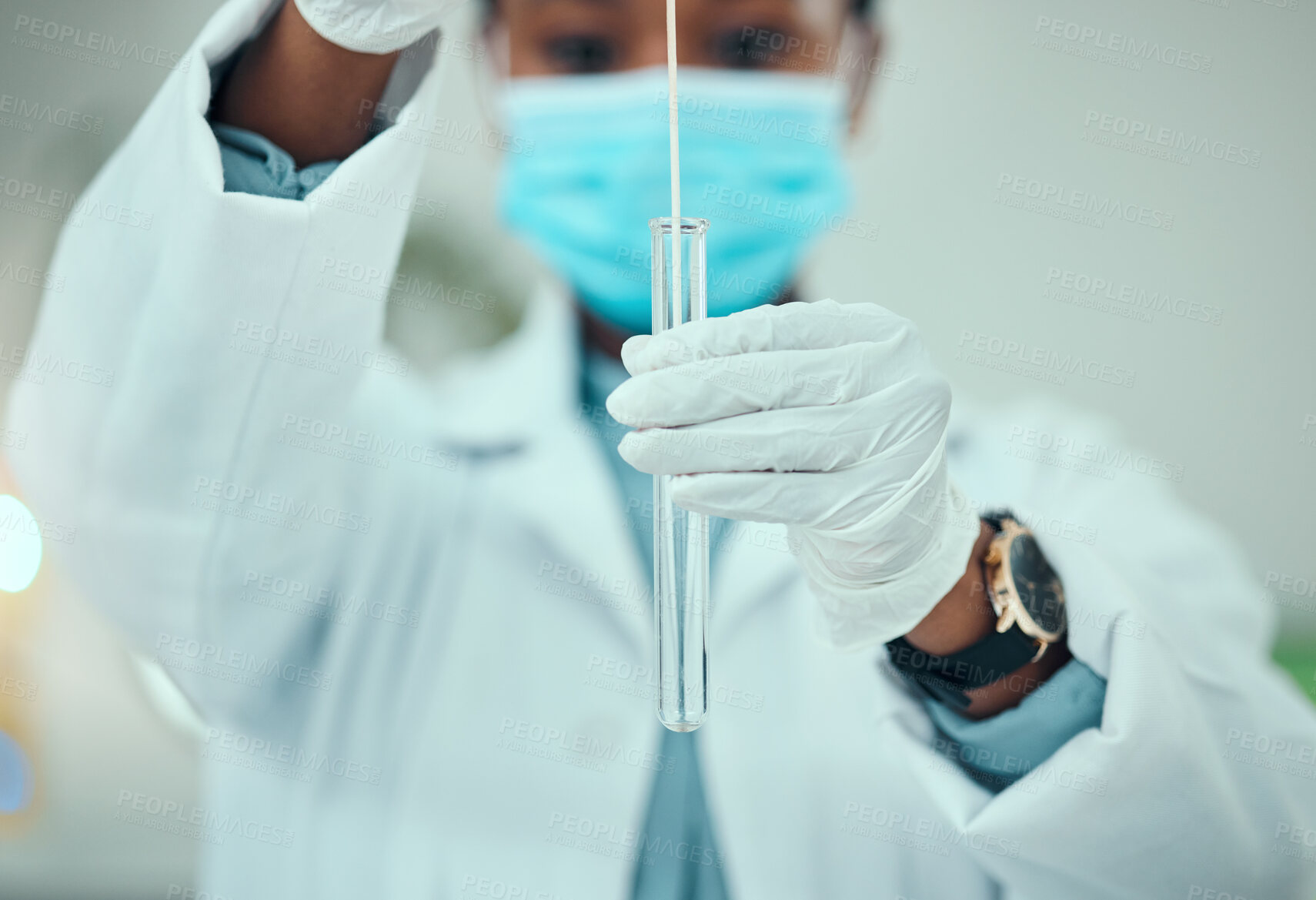 Buy stock photo Science, pcr and cotton with hands of doctor for vaccine research, medical and dna test. Pharmacy, medicine and healthcare with closeup of person and swab for virus, pathology exam and diagnosis