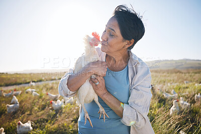 Buy stock photo Agriculture, farm and a woman kiss chicken outdoor for animal care, development and small business. Farming, sustainability and a happy poultry farmer person with organic produce in the countryside