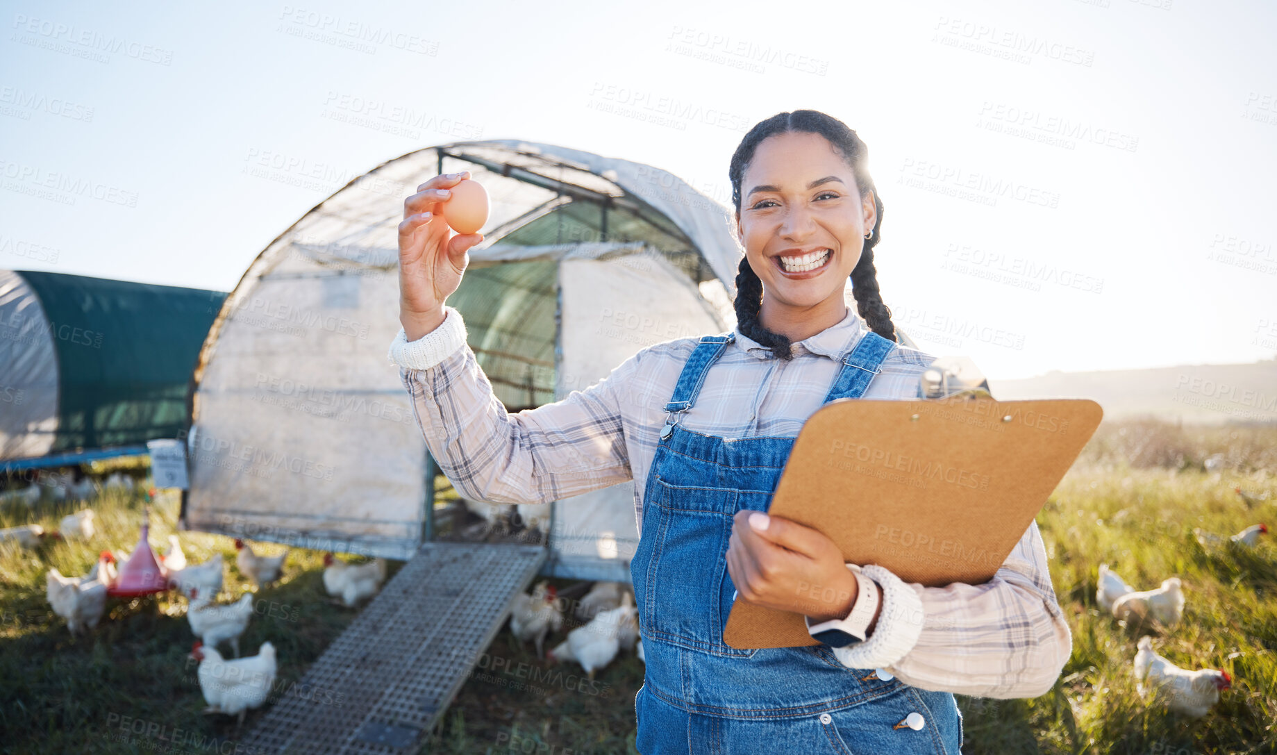 Buy stock photo Farm, poultry and a woman with an egg for inspection and a clipboard for quality control. Chicken farming, sustainability and portrait of farmer person with organic produce outdoor for agriculture