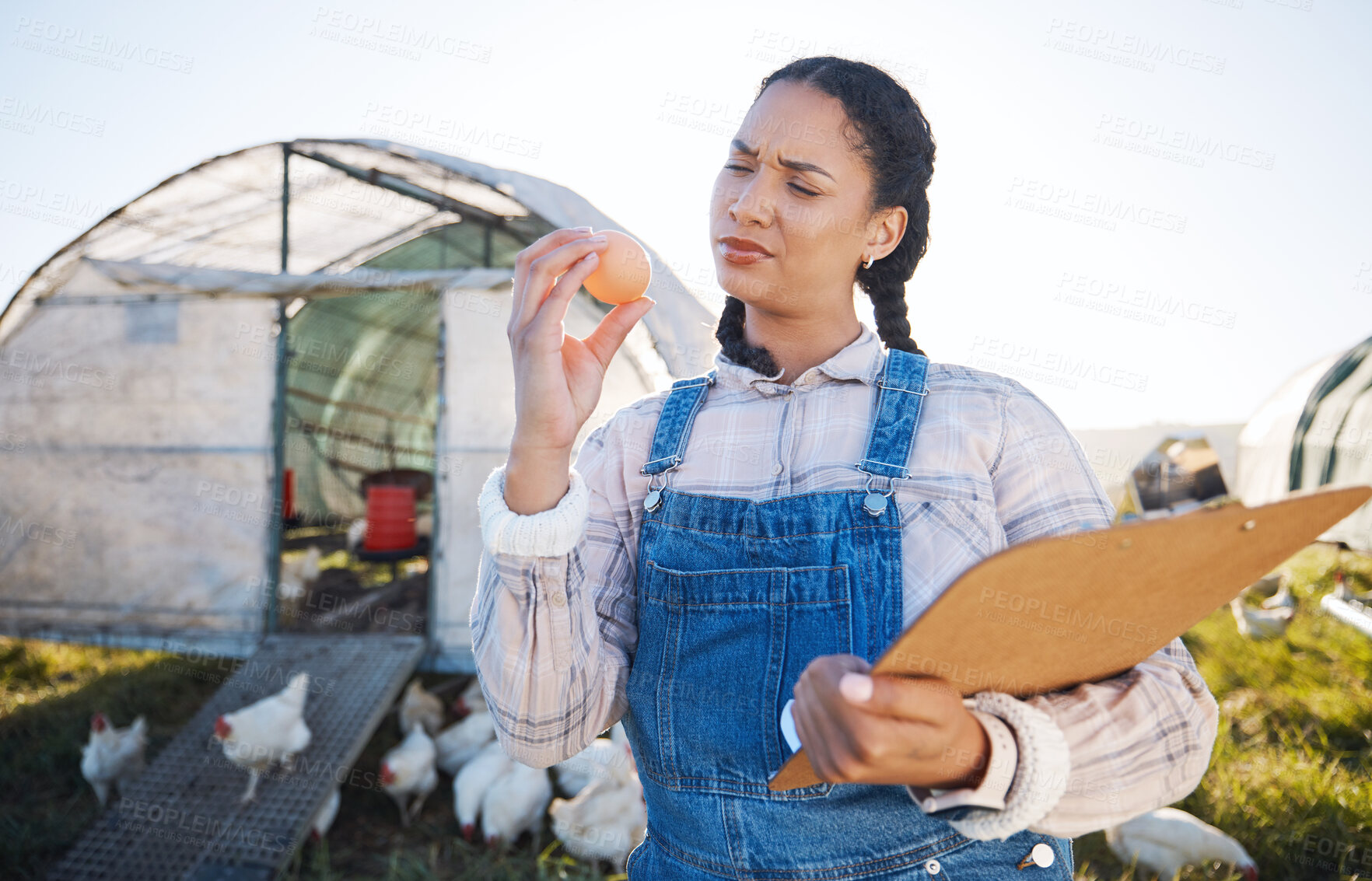 Buy stock photo Farm, thinking and a woman with an egg for inspection and a clipboard for quality control. Chicken farming, sustainability and confused farmer person with organic produce outdoor for agriculture