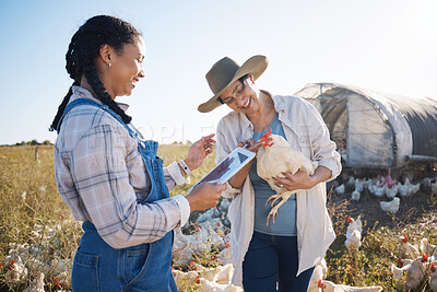 Buy stock photo Teamwork, tablet or people farming chicken on field or agriculture for natural sustainability research. Technology, seller or happy farmers in countryside with live stock or rooster for production