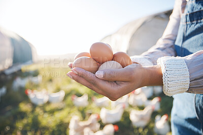 Buy stock photo Hands of woman with eggs on farm with chickens, grass and sunshine in countryside field with sustainable business. Agriculture, poultry farming and farmer holding produce for food, nature and animals